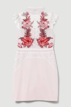 Coupon 🤩 Karen Millen Rose Guipure Lace Mini 👗 Dress 🥰 -Occasionwear Popular Store bkk08197 rose xl 3